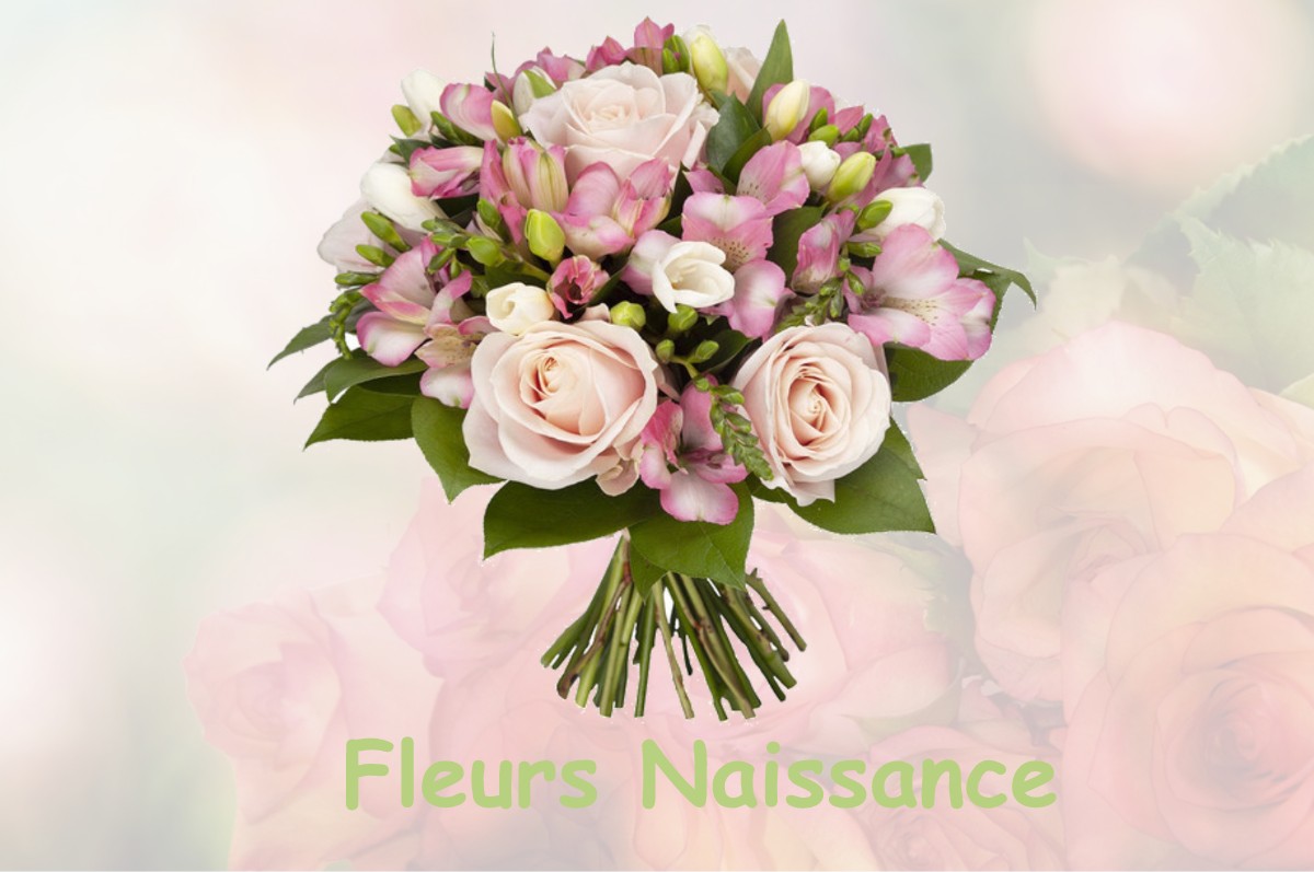 fleurs naissance CHAZILLY
